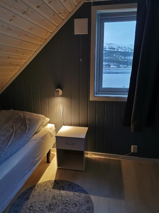 Senja Arctic *